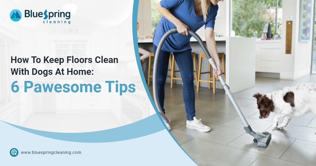 How to Keep Floors Clean With Dogs: Expert Tips and Tricks